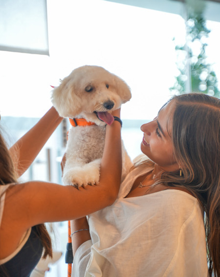 Happy pet at Pet Loft